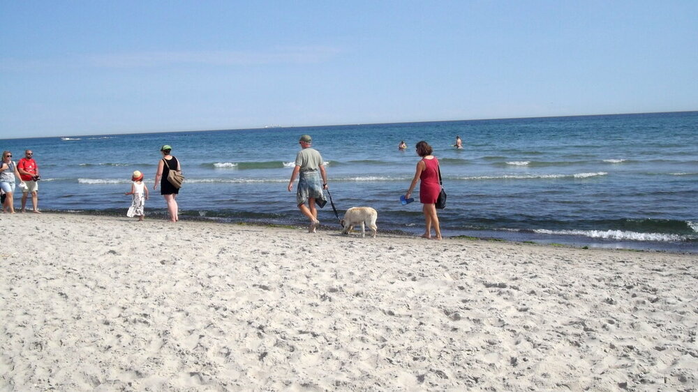 1-Открытки из Скандинавии 4796.JPG