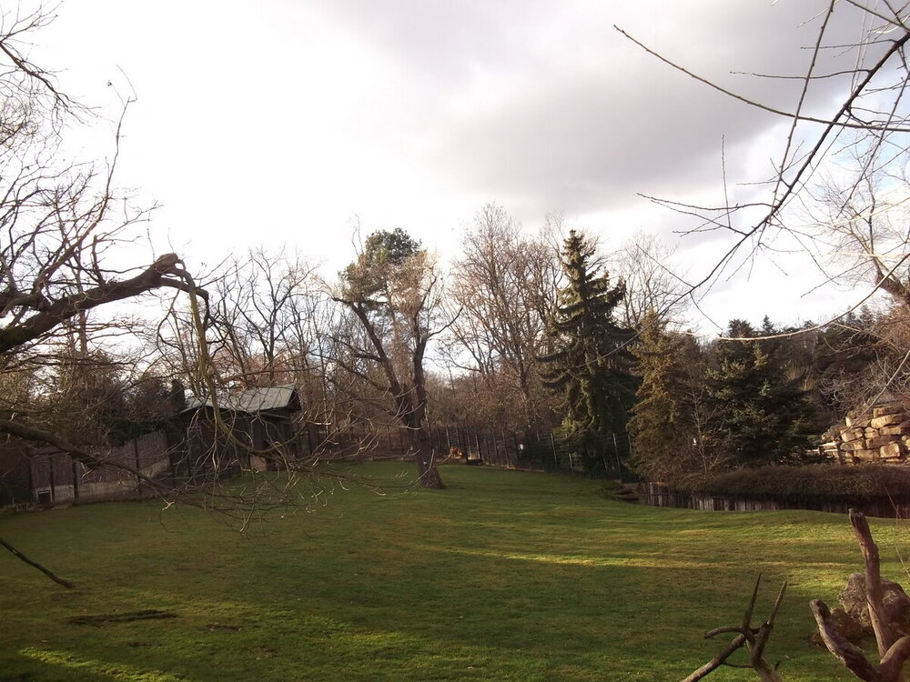 1-Пражская зима 480.JPG