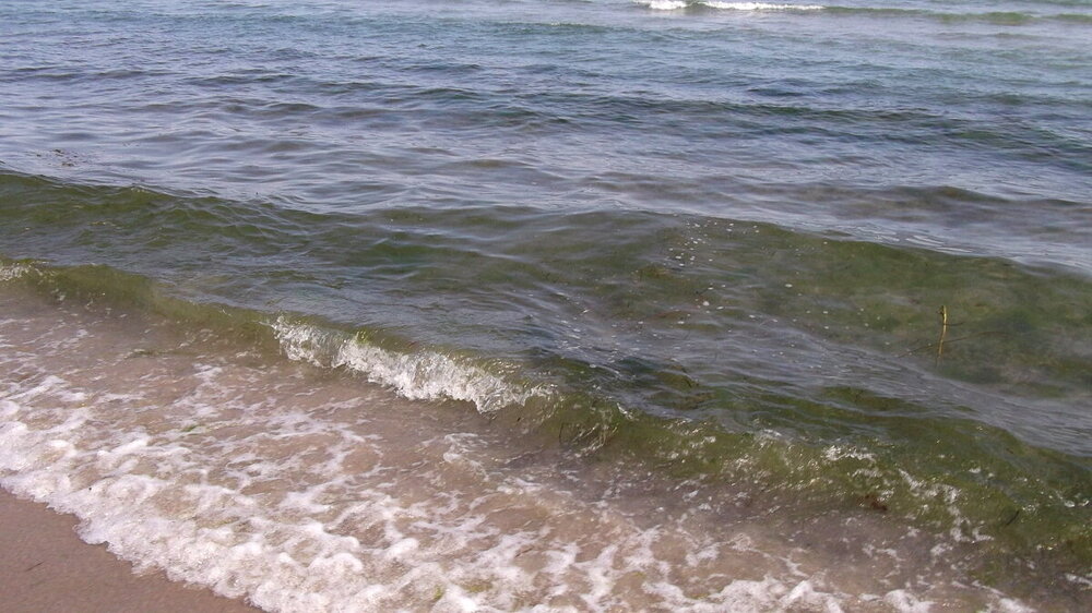 1-Открытки из Скандинавии 4801.JPG