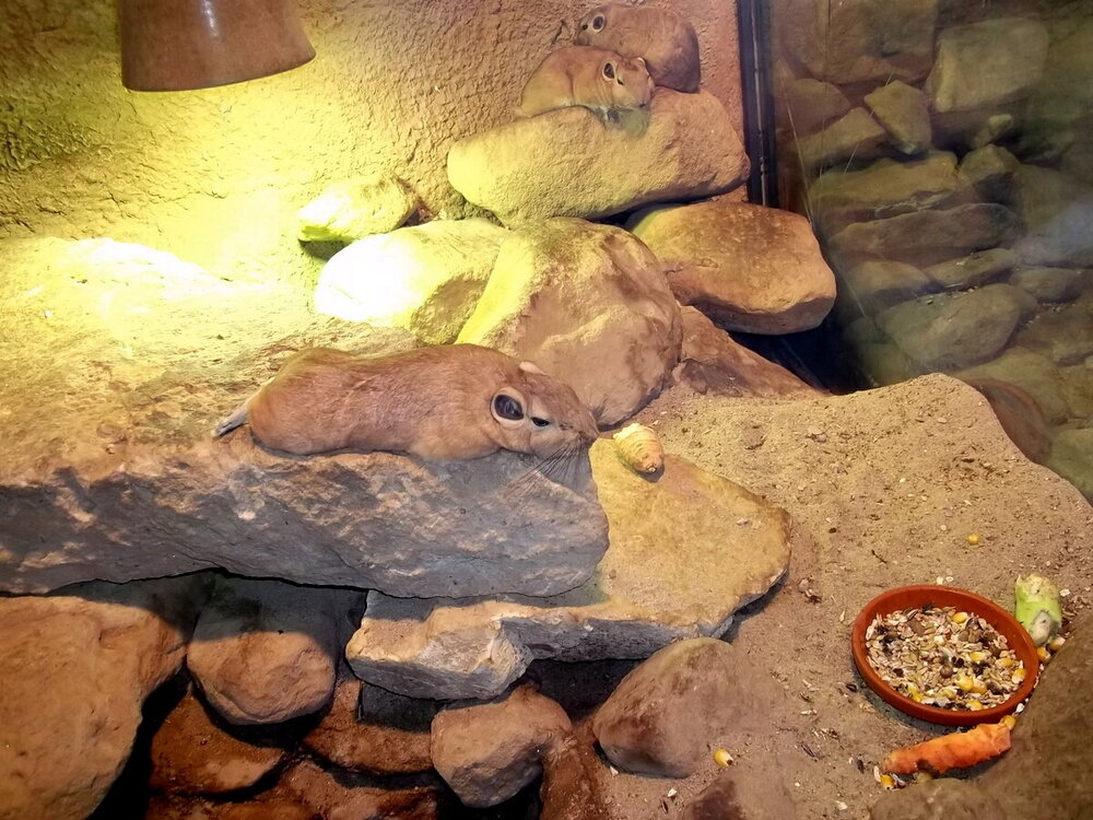 1-Пражская зима 482.JPG