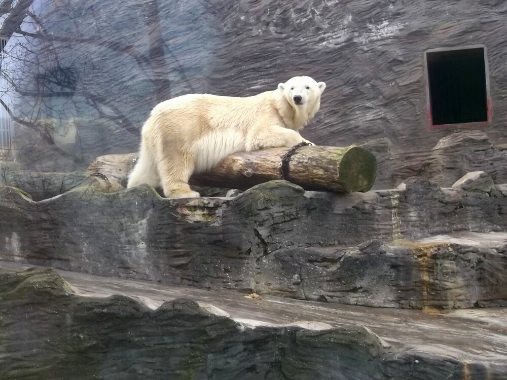 1-Пражская зима 519.JPG