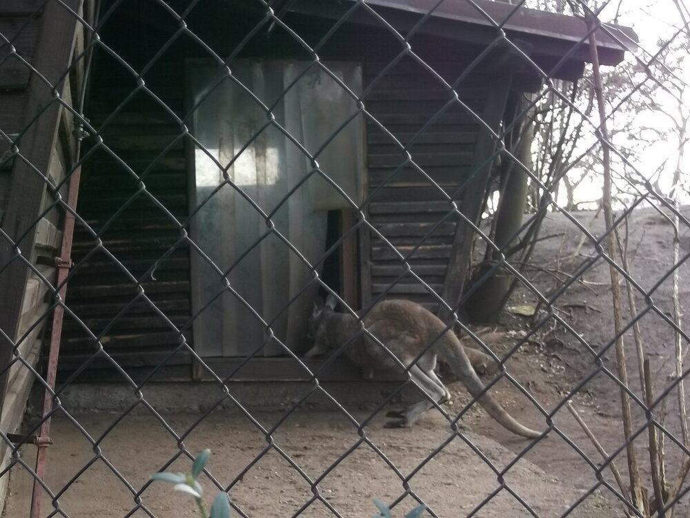 1-Пражская зима 531.JPG