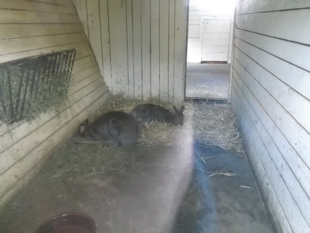 1-Пражская зима 535.JPG