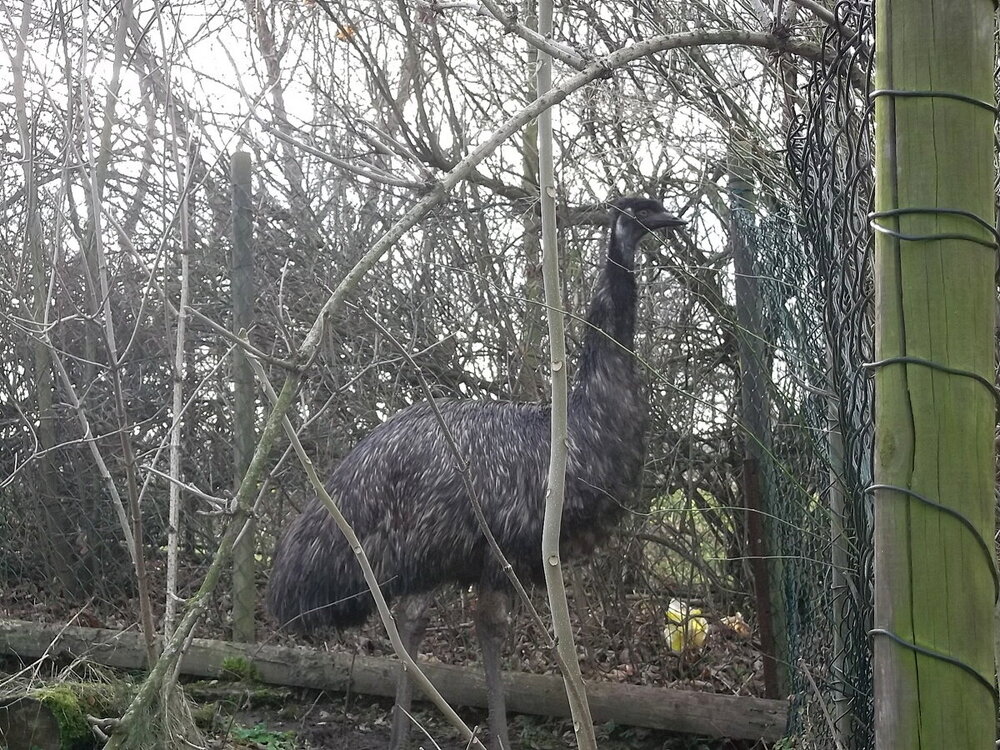 1-Пражская зима 539.JPG