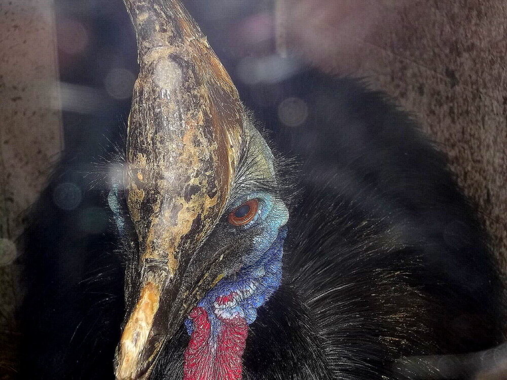 1-Пражская зима 546.JPG