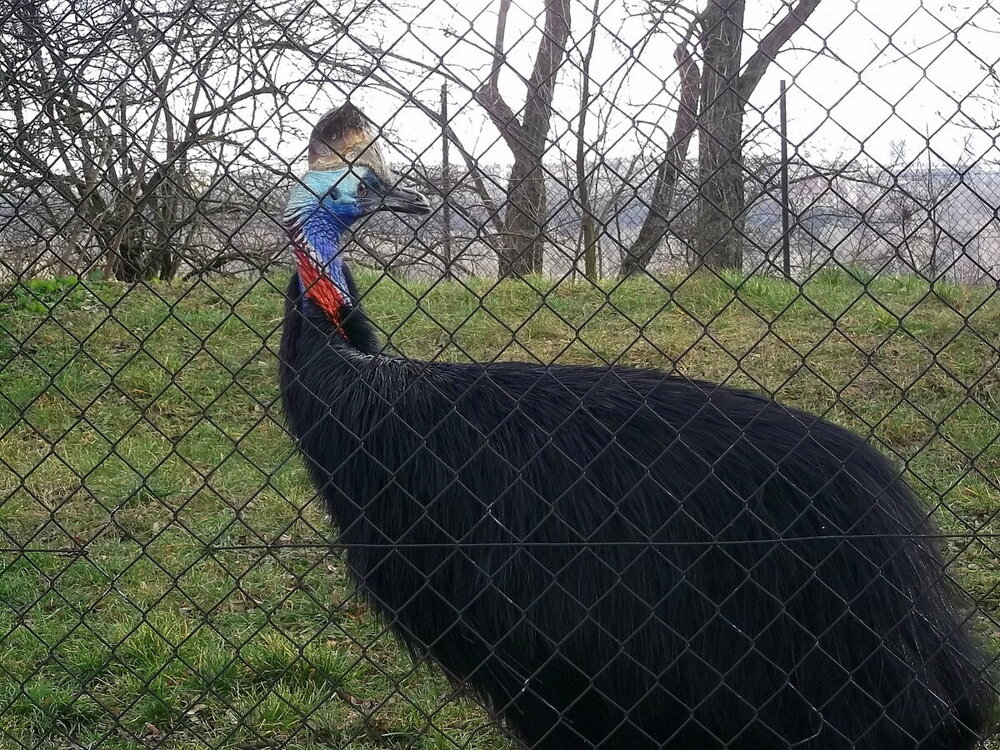 1-Пражская зима 549.JPG