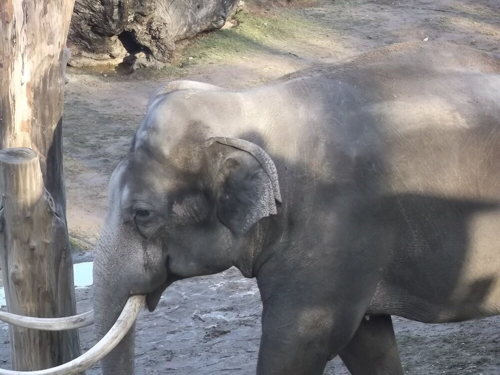 1-Пражская зима 559.JPG