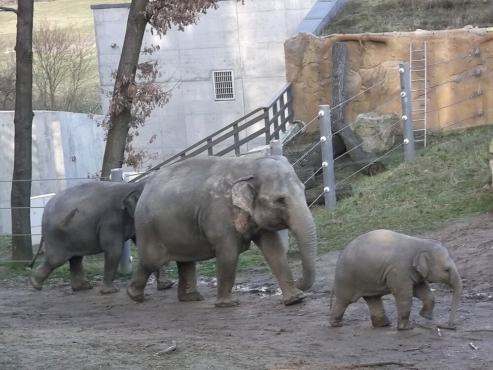 1-Пражская зима 563.JPG