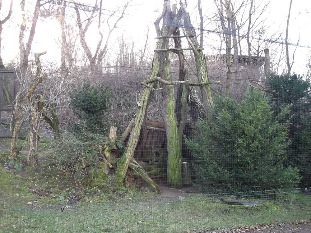 1-Пражская зима 571.JPG