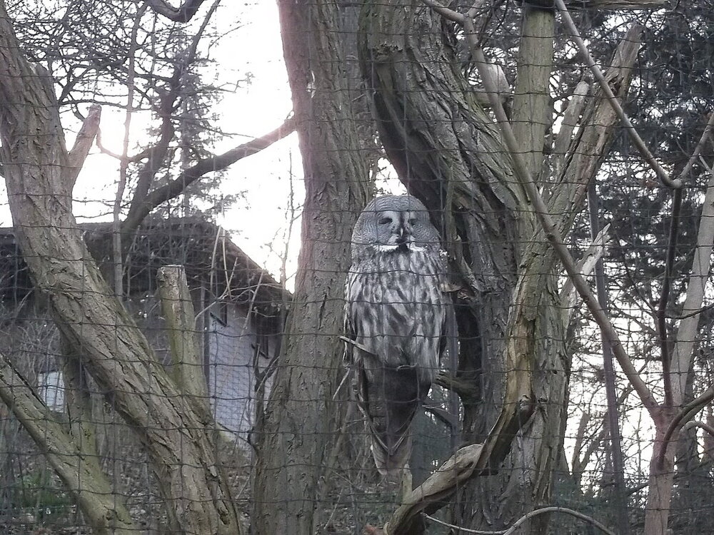 1-Пражская зима 573.JPG