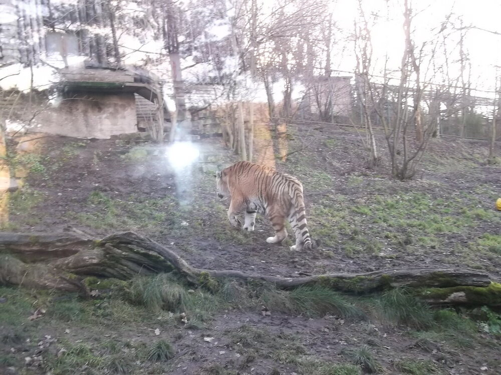 1-Пражская зима 588.JPG