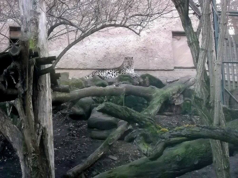 1-Пражская зима 593.JPG