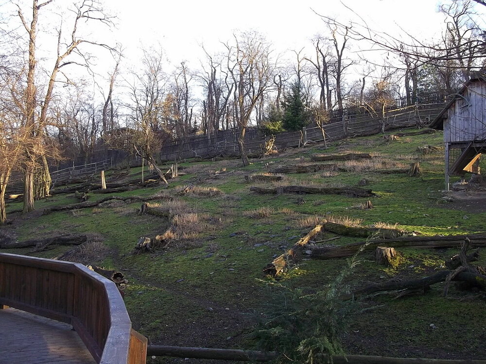 1-Пражская зима 599.JPG