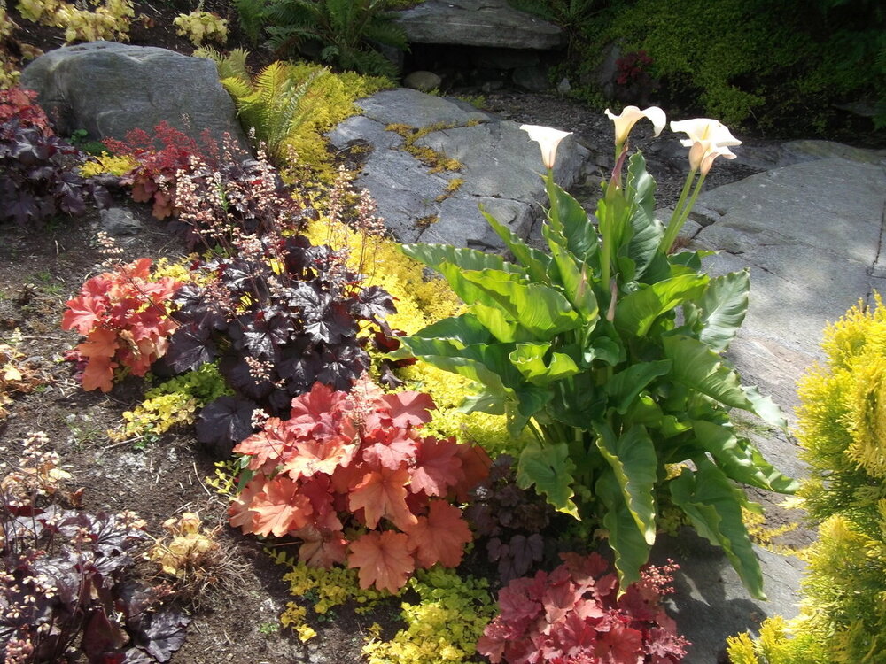 1-Белые ночи Скандинавии 617.JPG