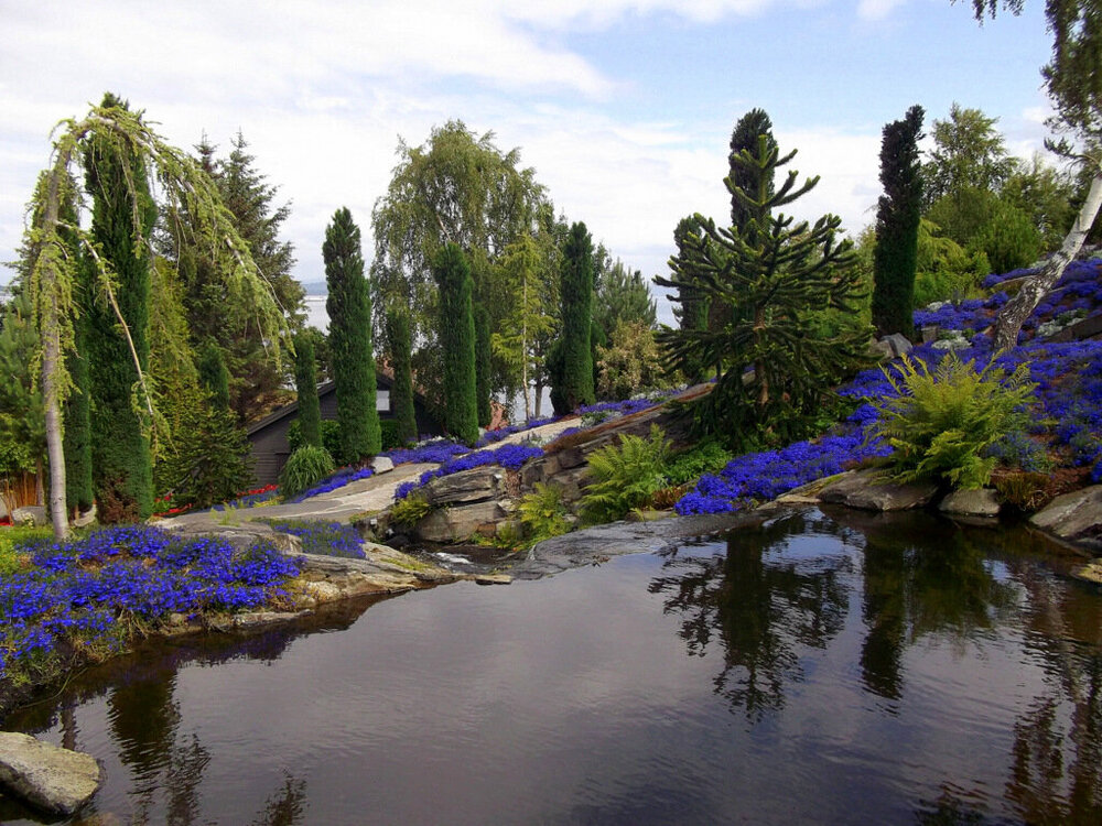 1-Белые ночи Скандинавии 620.JPG