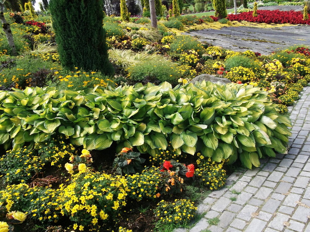 1-Белые ночи Скандинавии 625.JPG