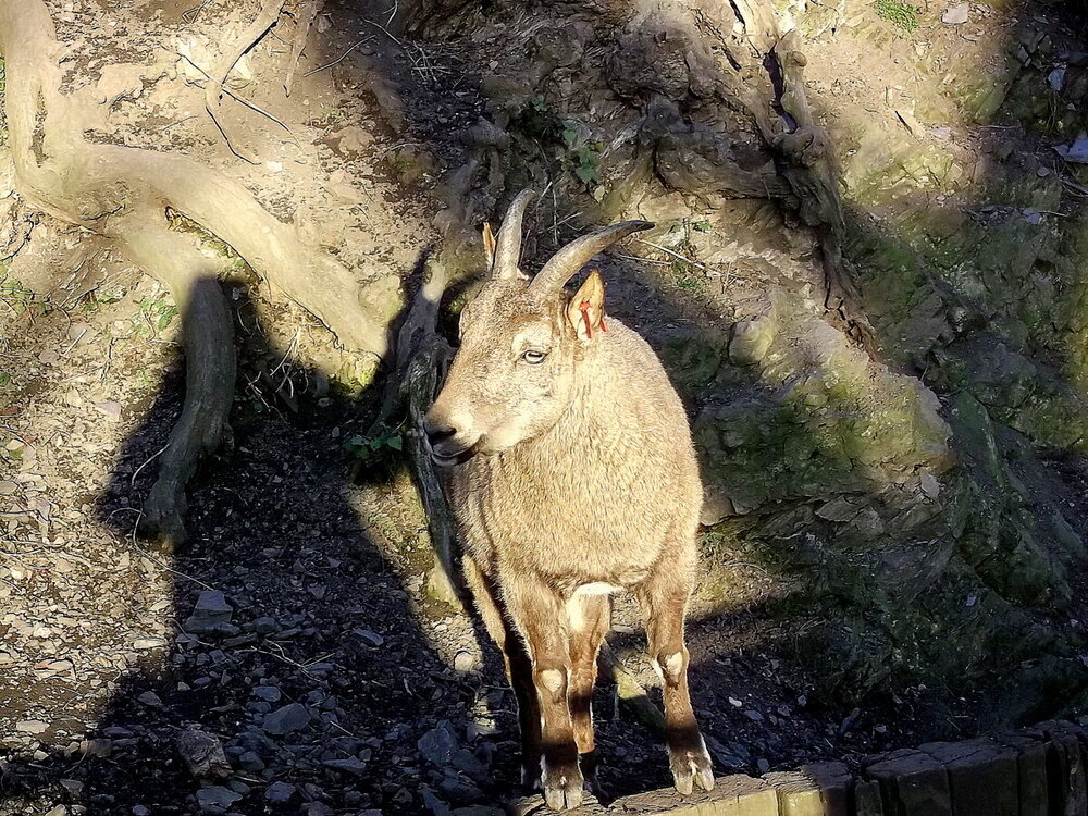 1-Пражская зима 625.JPG