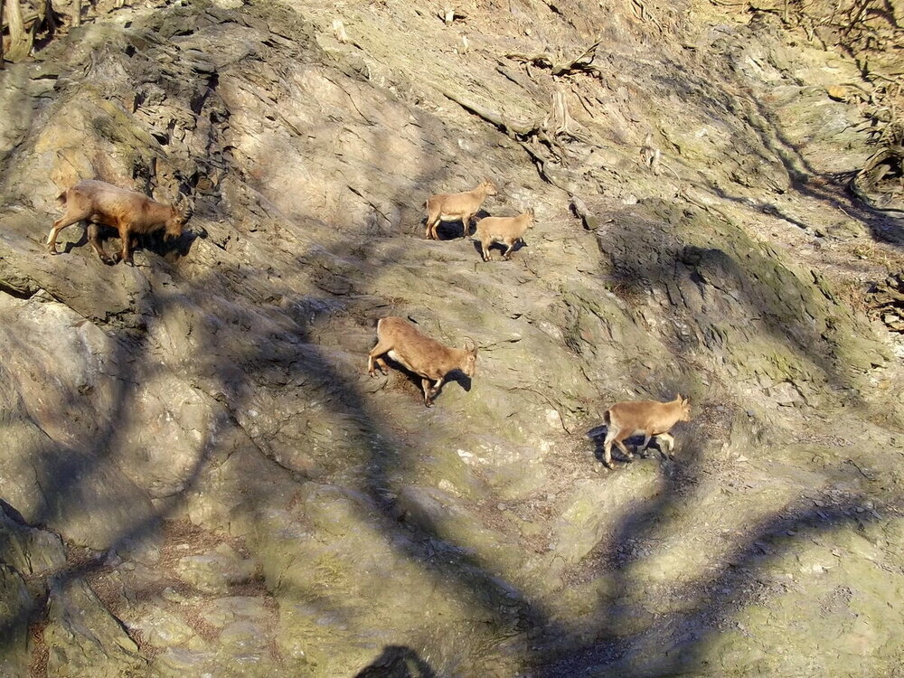 1-Пражская зима 629.JPG