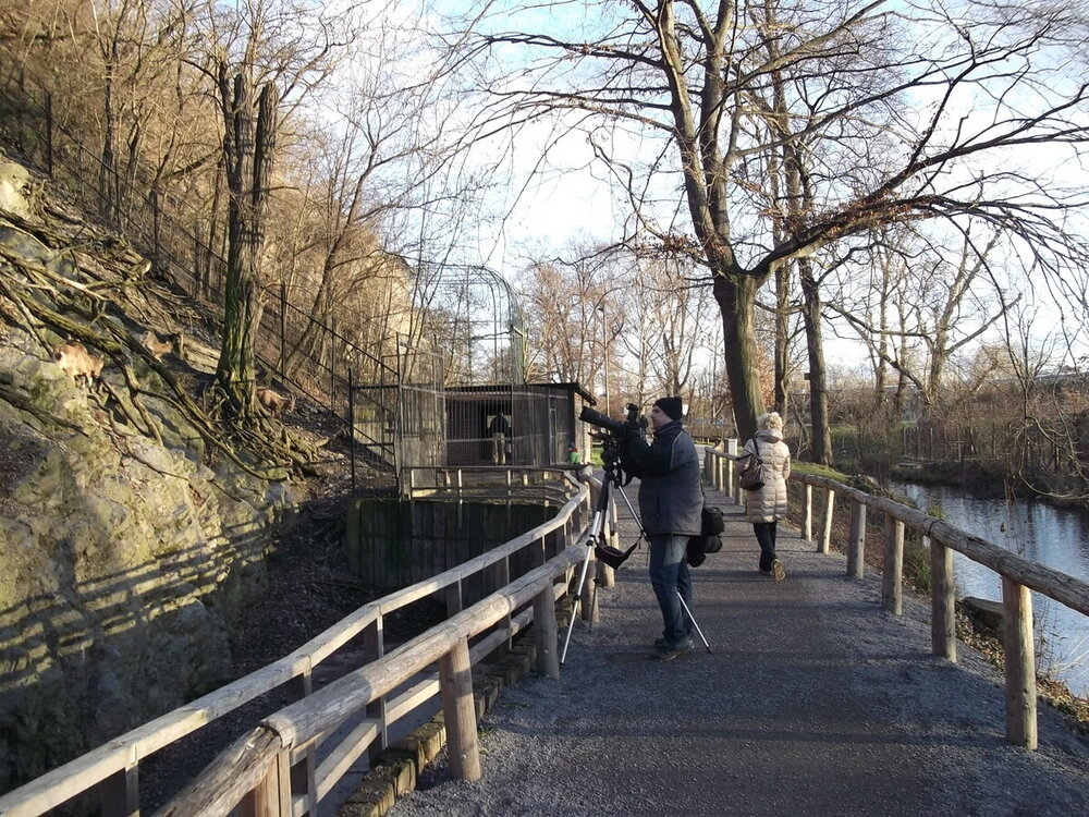 1-Пражская зима 631.JPG