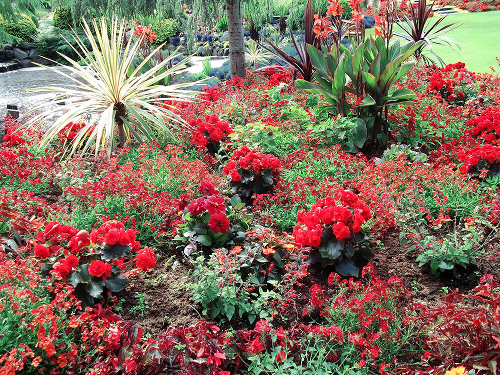 1-Белые ночи Скандинавии 636.jpg