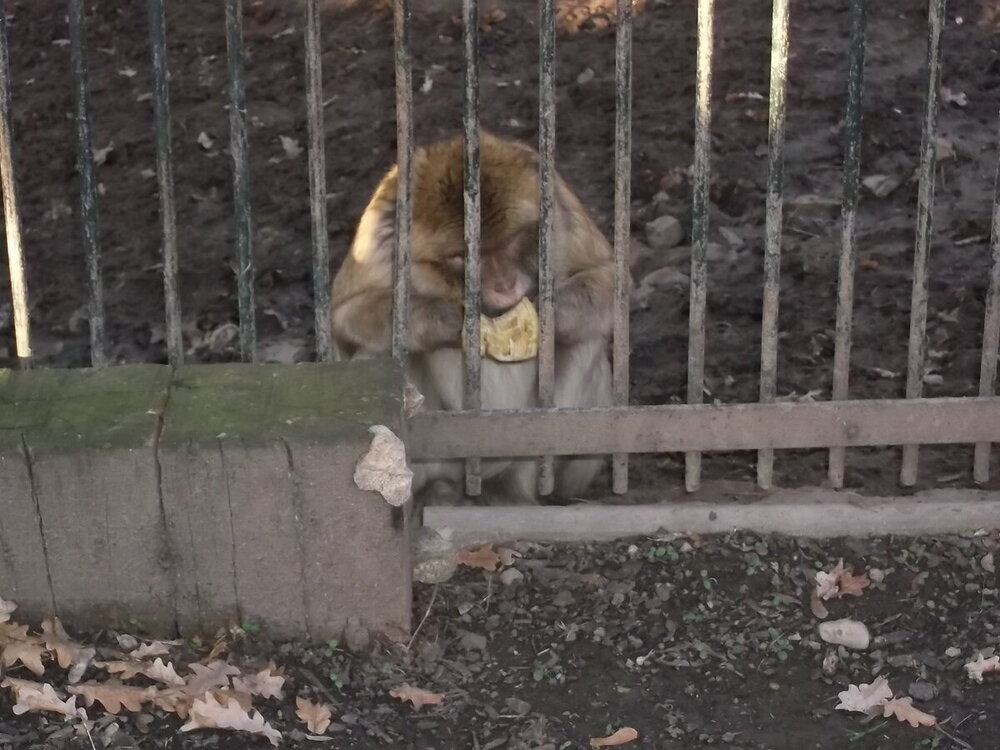 1-Пражская зима 652.JPG