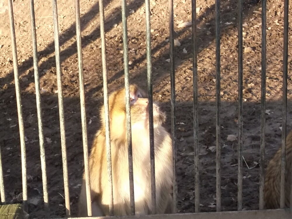 1-Пражская зима 660.JPG