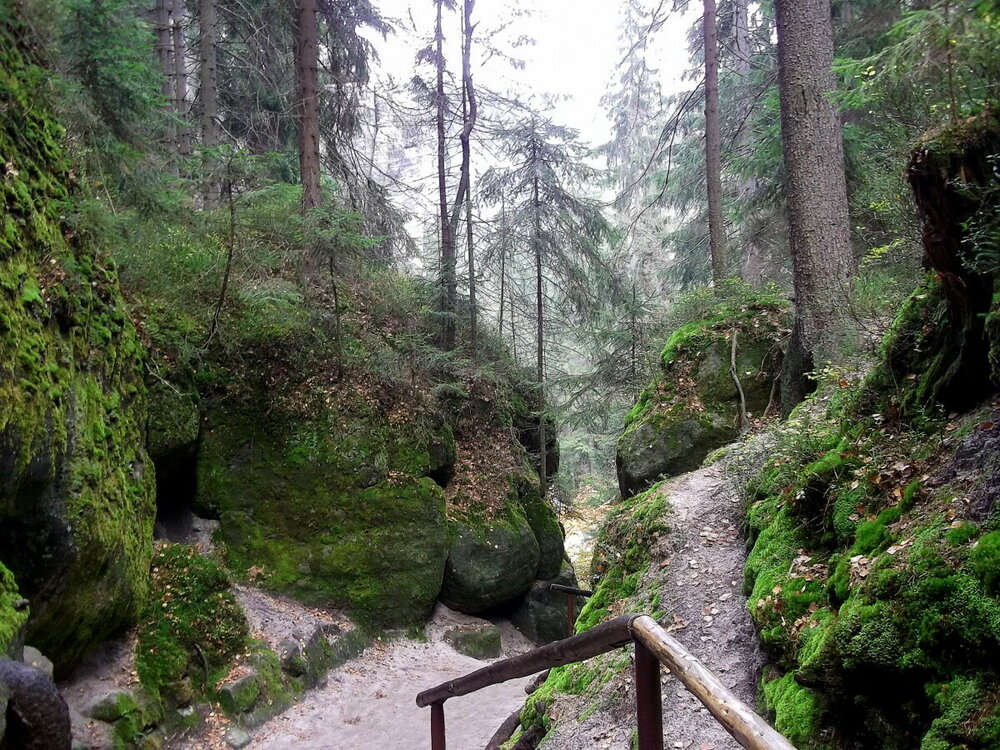 1-Осенние прогулки по Чехии 661.JPG