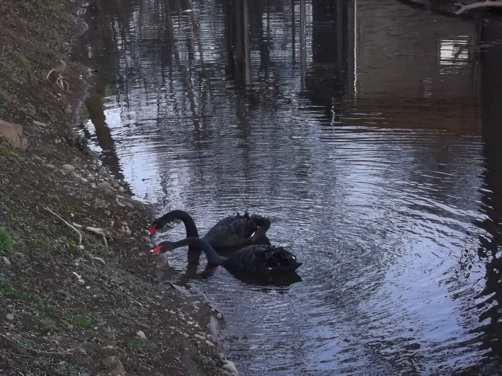 1-Пражская зима 662.JPG