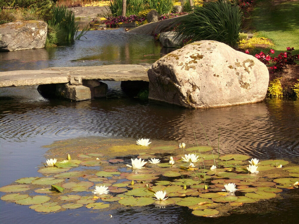 1-Белые ночи Скандинавии 683.JPG