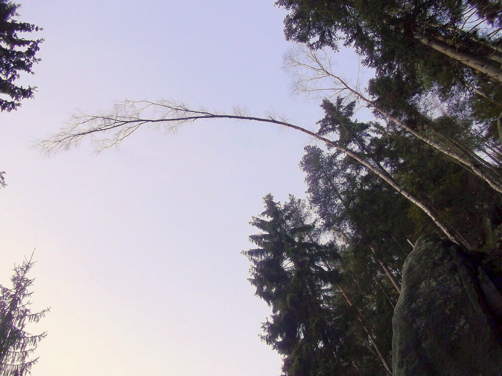 1-Осенние прогулки по Чехии 757.JPG