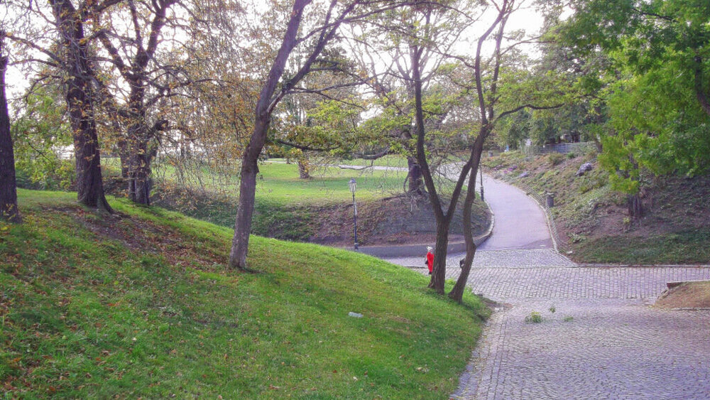 1-Золотые стёжки Чешского Рая 867.JPG