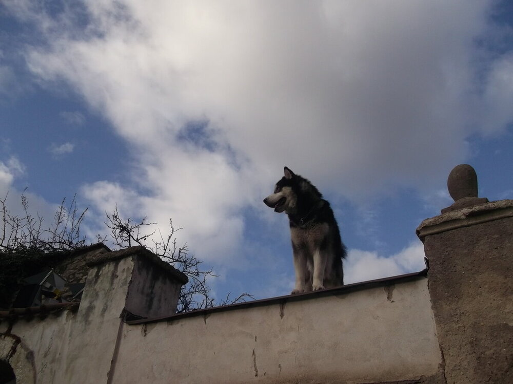 1-Пражская зима 993.JPG