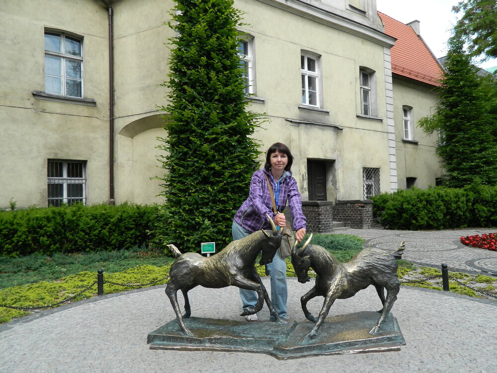 Изображение 139.jpg