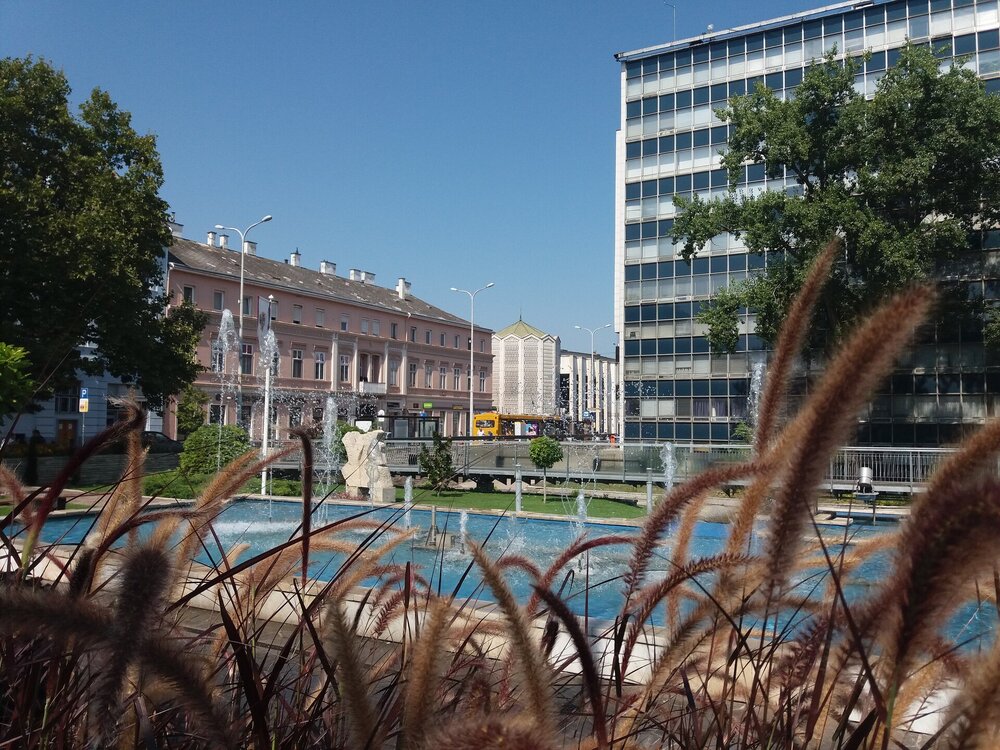 20180819_111739.jpg