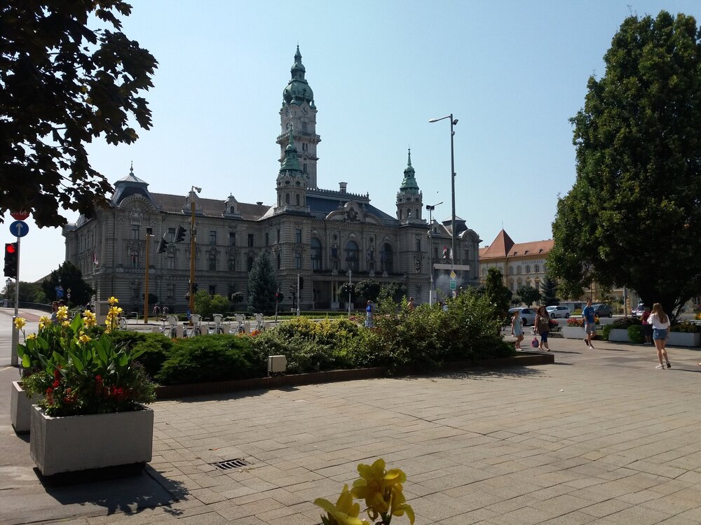 20180819_112115.jpg