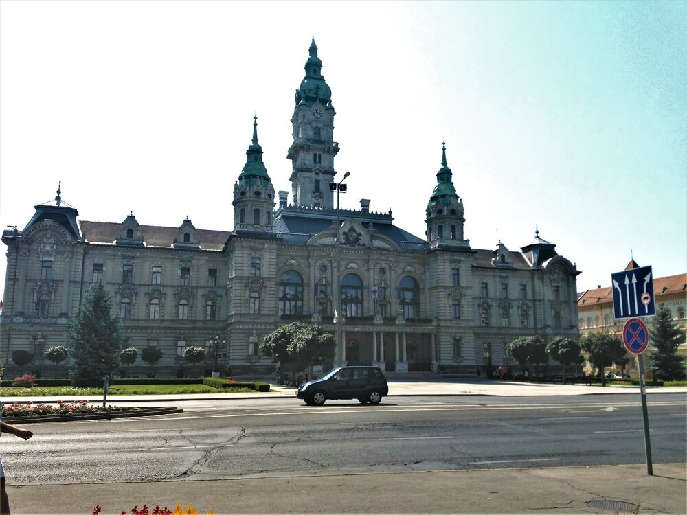20180819_114015.jpg