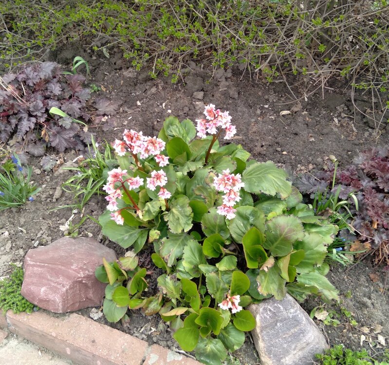 20220502_091531.jpg
