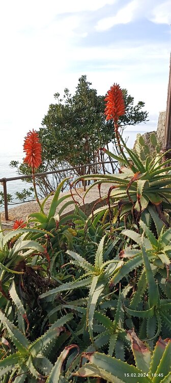 2024-02-15 10-45-02.JPG