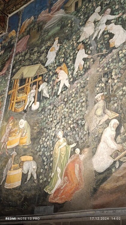 2024-12-17 14-02-15.JPG