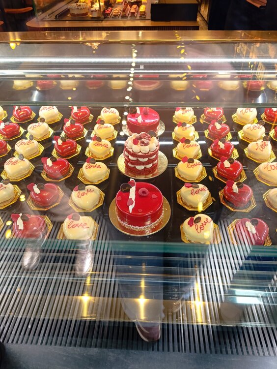 2026-02-12 13-11-43.JPG