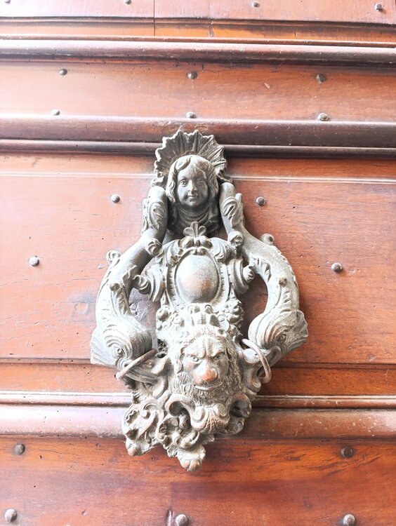 2026-02-12 13-49-10.JPG