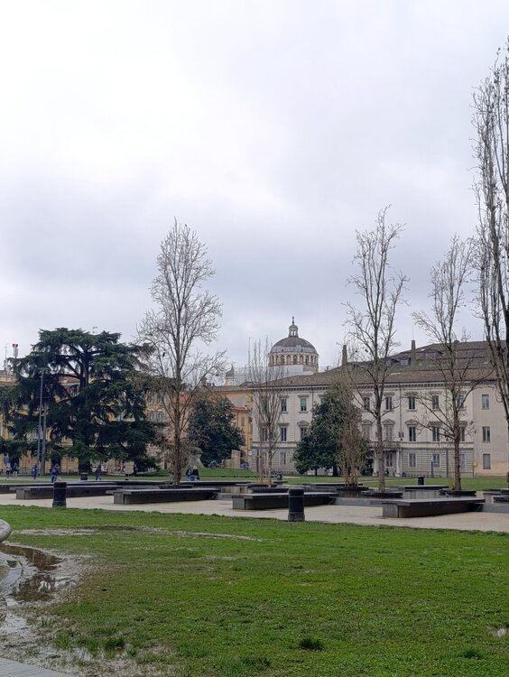 2026-02-12 14-20-11.JPG