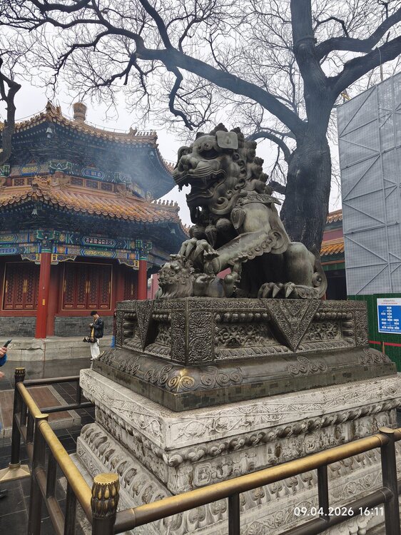 2026-04-09 16-11-48.JPG