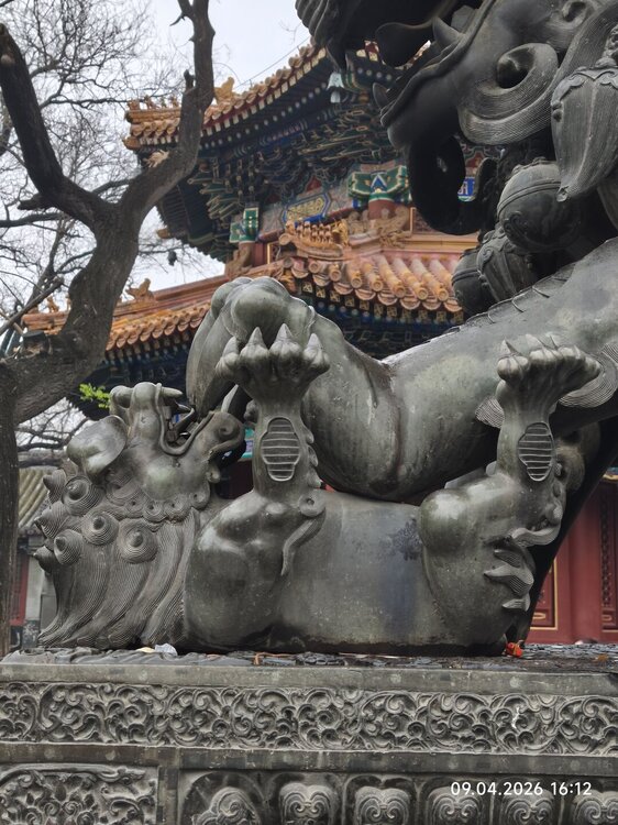 2026-04-09 16-12-44.JPG