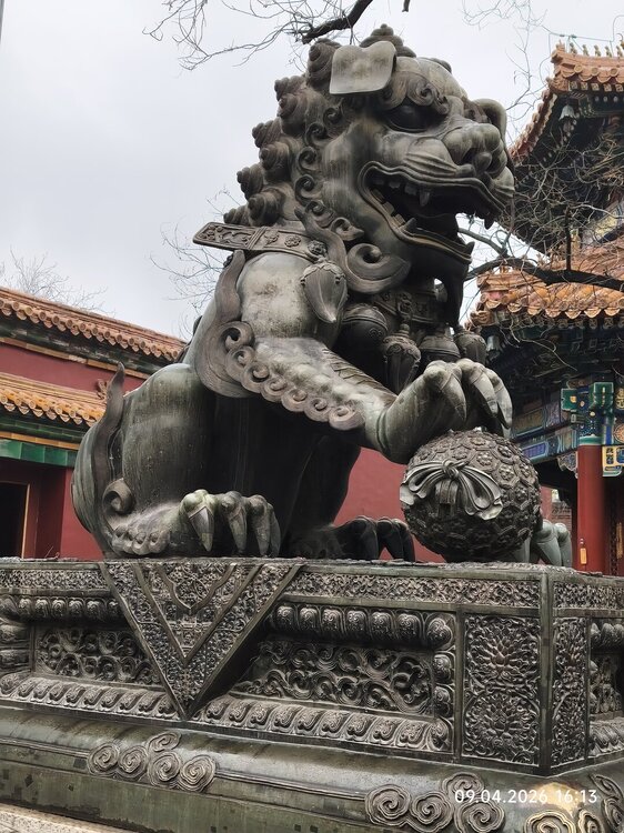 2026-04-09 16-13-23.JPG