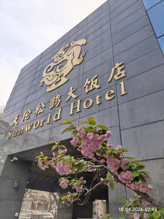 2026-04-10 07-42-24.JPG