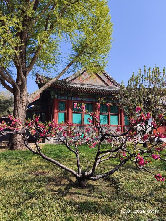 2026-04-10 09-17-27.JPG