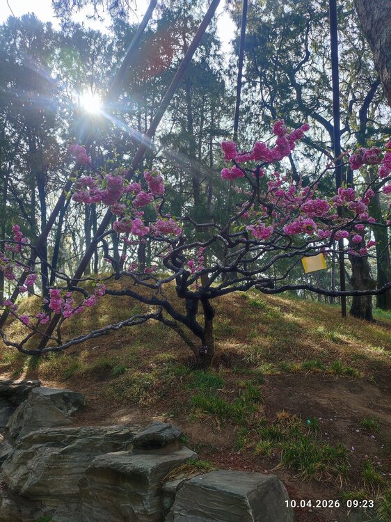 2026-04-10 09-23-36.JPG