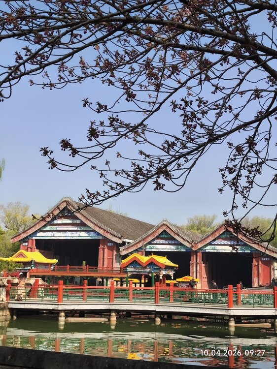 2026-04-10 09-27-18.JPG