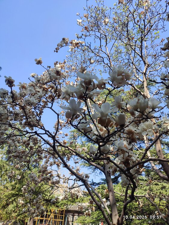 2026-04-10 09-57-57.JPG